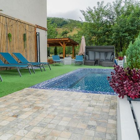 Montana 219 Otel Valea Drăganului Dış mekan fotoğraf