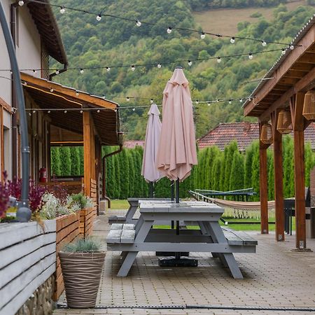 Montana 219 Otel Valea Drăganului Dış mekan fotoğraf