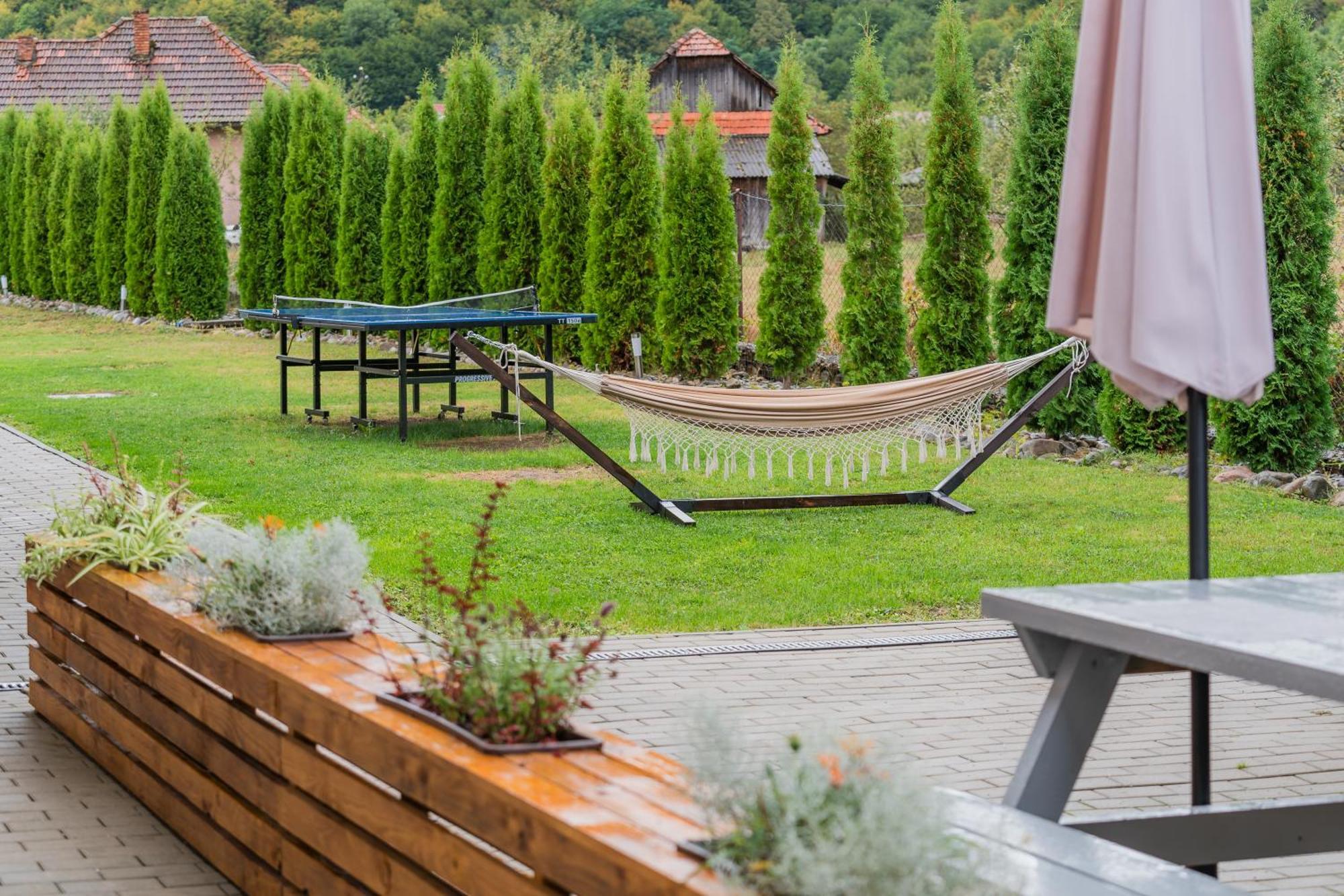 Montana 219 Otel Valea Drăganului Dış mekan fotoğraf